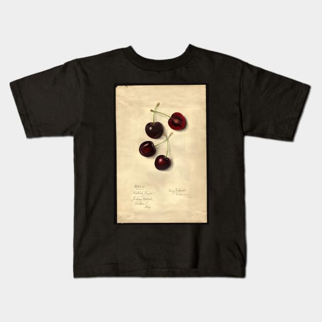 Kallich Giant Cherries Kids T-Shirt by Amanda1775